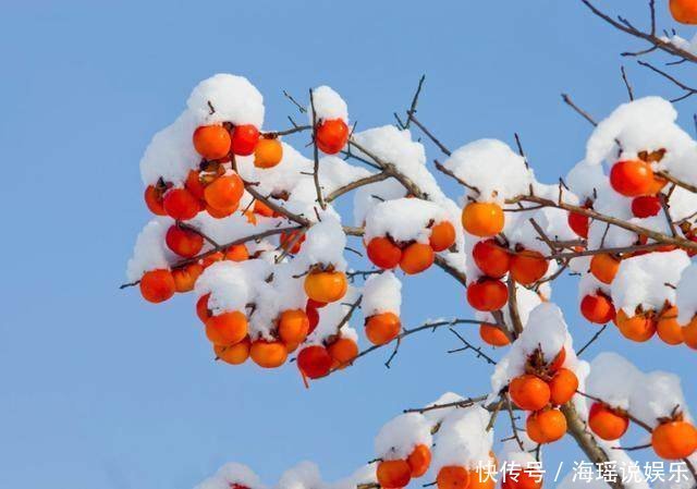 農(nóng)村爛在地里沒人吃的野果,城里人卻當(dāng)成寶,有的直呼買不起