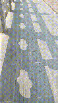 |搞笑GIF趣图:狗子,要不是我被封印住,你能是我的对手??