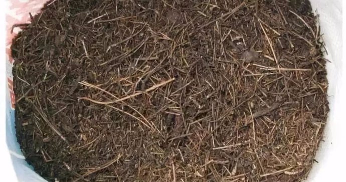 养花不用买土,用这几样东西掺一块儿,种什么花草都旺