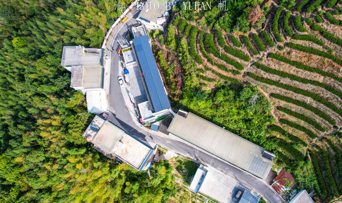 渝帆|藏在粤东大山里的世外桃源，形如山中半岛，村民因一片叶子而致富