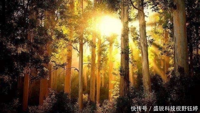 姜宣发|阳气为什么可以治百病中医为你解密，简单3招补足阳气远离寒湿