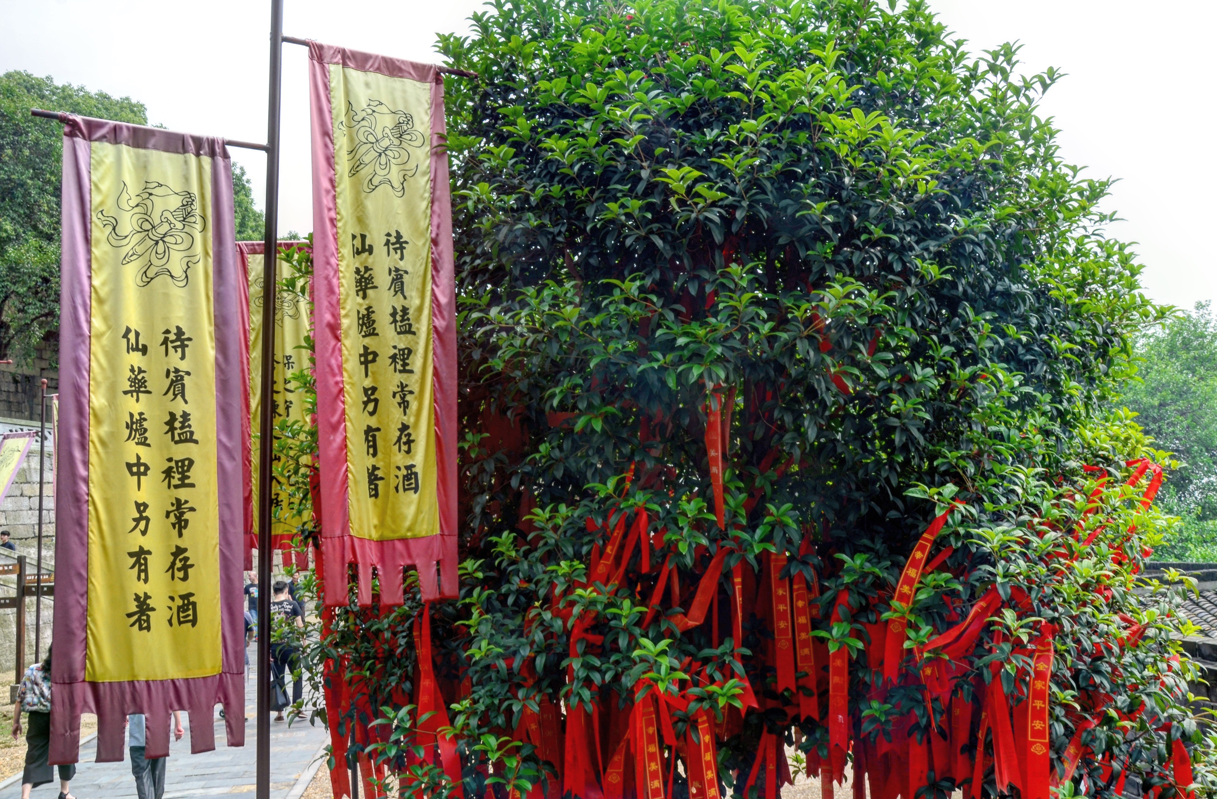 木质|三大名楼中唯一木质结构建筑,为鲁肃对抗关羽所建,小乔就葬于此