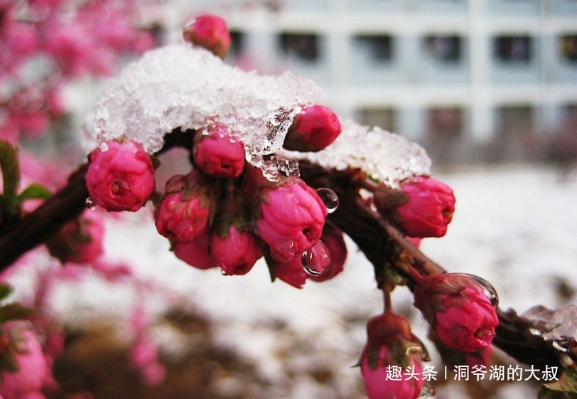 丈夫|不离不弃，给丈夫带来好运的3大生肖女，男人遇到就带回家吧