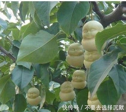 取经|《西游记》取经团队碰上了两宗赔偿案,最后洒下热泪的却总是观音