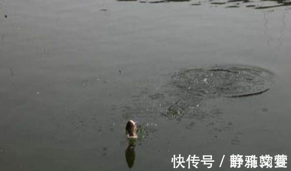 钓友|看懂这3种刺激鱼儿开口的逗鱼方式,你将会有钓不完的鱼!