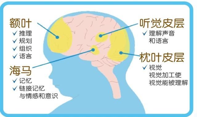 塑造|孩子总是拿哭吓唬人？0-6岁教养是关键！5步塑造孩子高情商