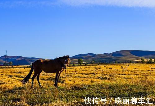 大草原|承德一低调景区，有北京后花园之称，国家级森林公园，名气却不大