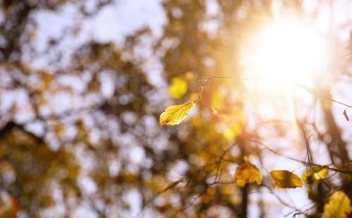 降血脂|喝茶有助疏通血管吗？医生提醒：6条茶叶内幕曝光！颠覆你的认知