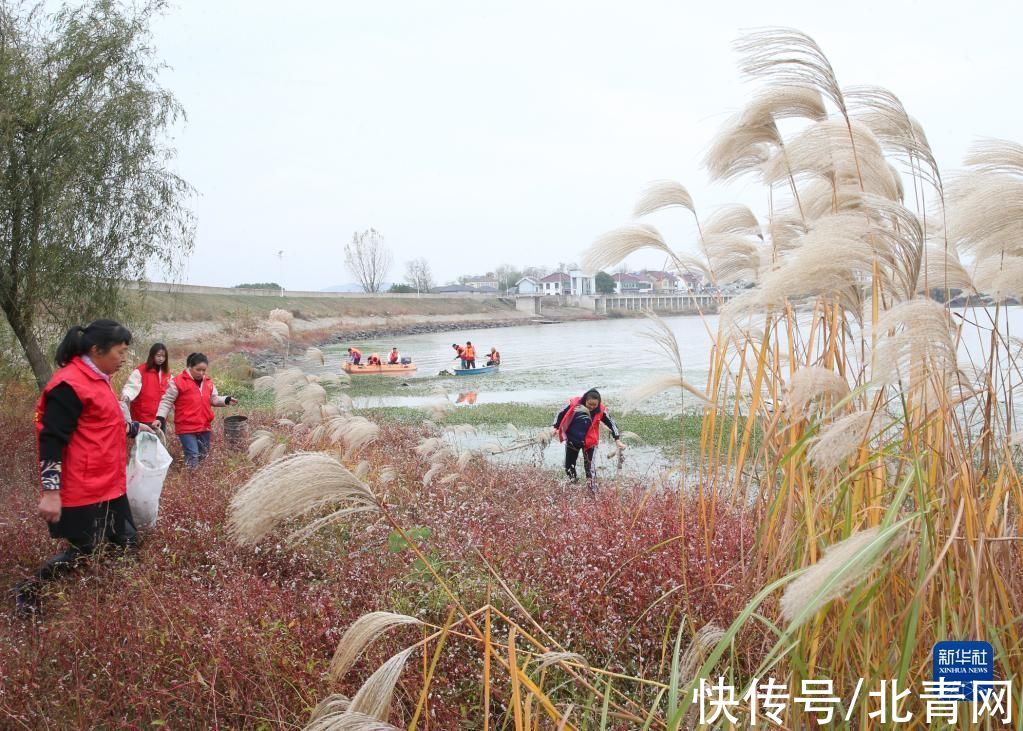 安吉县|浙江安吉：山绿水清 景美民富