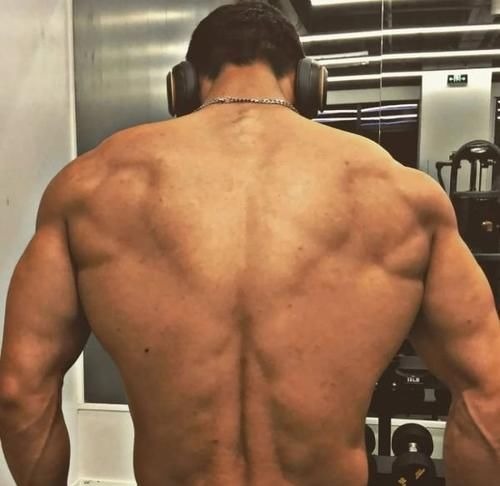 杠铃|家里贴满施瓦辛格海报,180cm小伙蜕变肌肉型男,8块腹肌太撩人