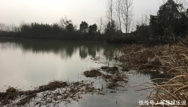 溶氧量|没有水草就不能钓鱼了吗根据这4点来找鱼,下竿之处即咬钩