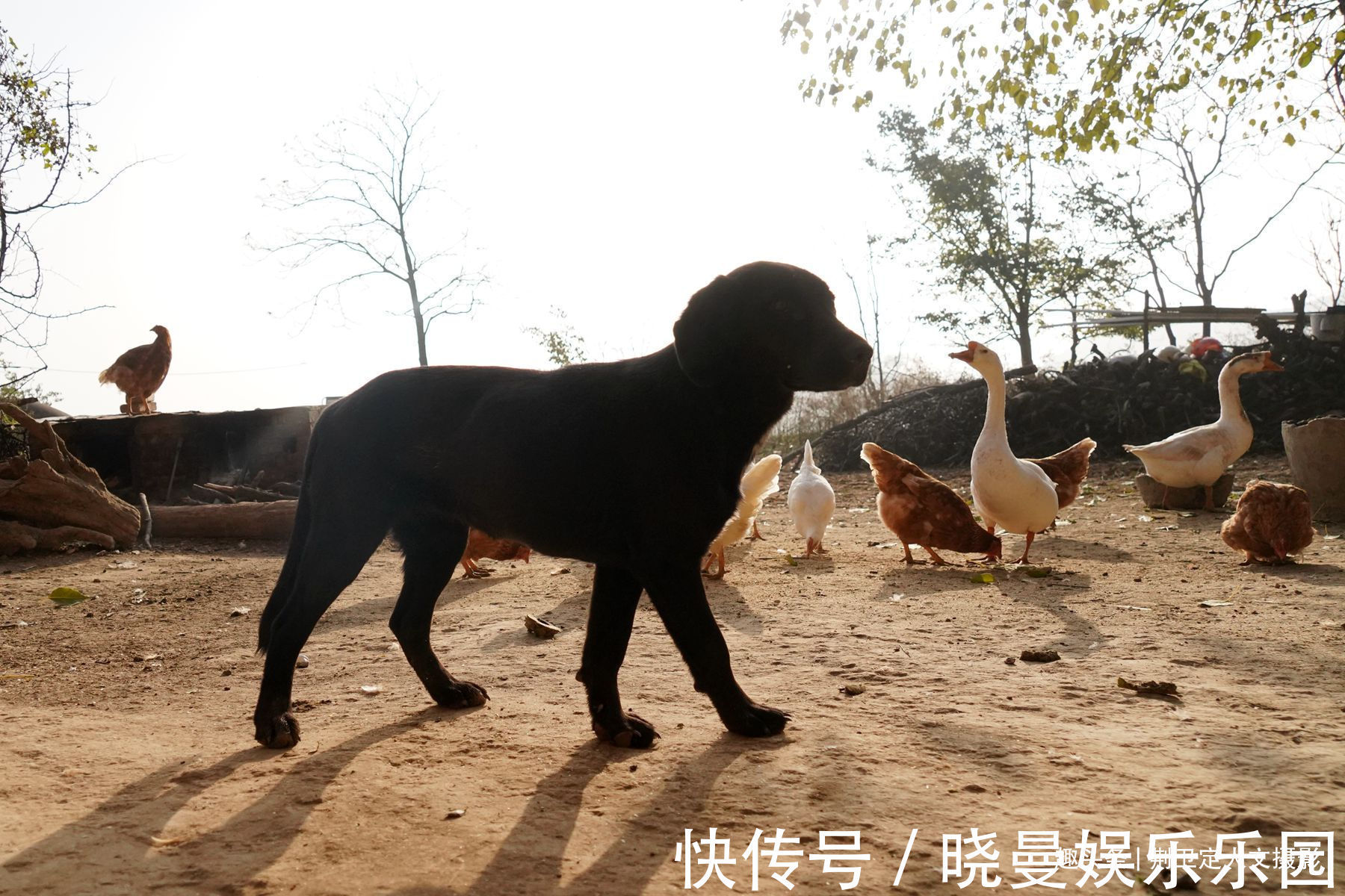 山洞!6旬农民痴迷周易八卦,独居山洞修炼养生30多年,看活成啥样