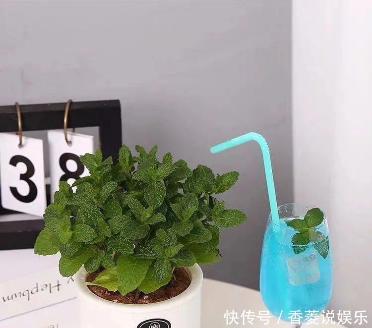 修剪|养花不能有的坏习惯,随心所欲养不好花,看看你中招几条