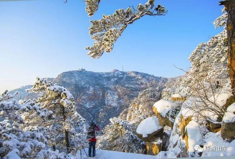 泰山银装素裹后石坞，雪松玉树赛仙境！