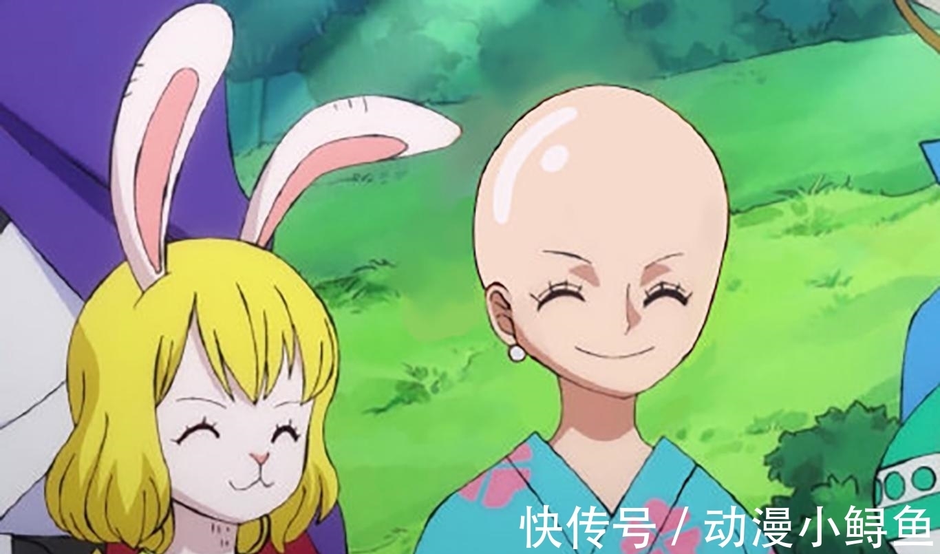 布鲁克|《海贼王》草帽团被全员剃光头,娜美不再女神,布鲁克毫无违和感