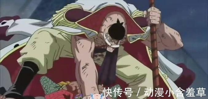 活着|海贼王中活着的D字一族, 卡普不是最强, 黑胡子仅第三, 罗倒第二