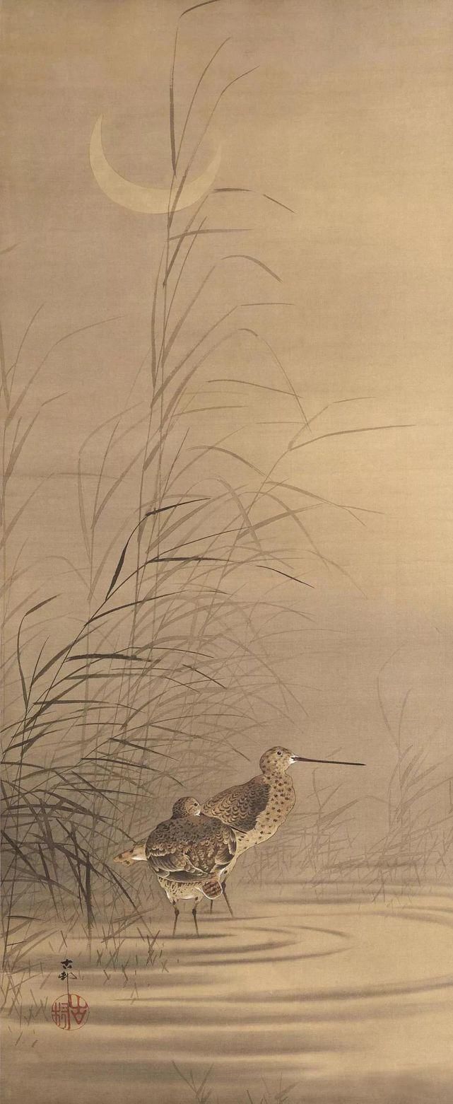 日本绘画大师的花鸟画，淡雅清新