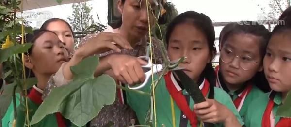 教育部|教育部连出措施保障学生课间休息娱乐