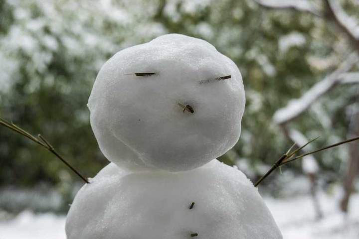 寒梅傲雪|瑞雪兆丰年