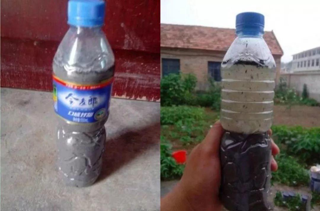 “蚯蚓粪”养花也不赖,增粉还透气,啥花都能养好!