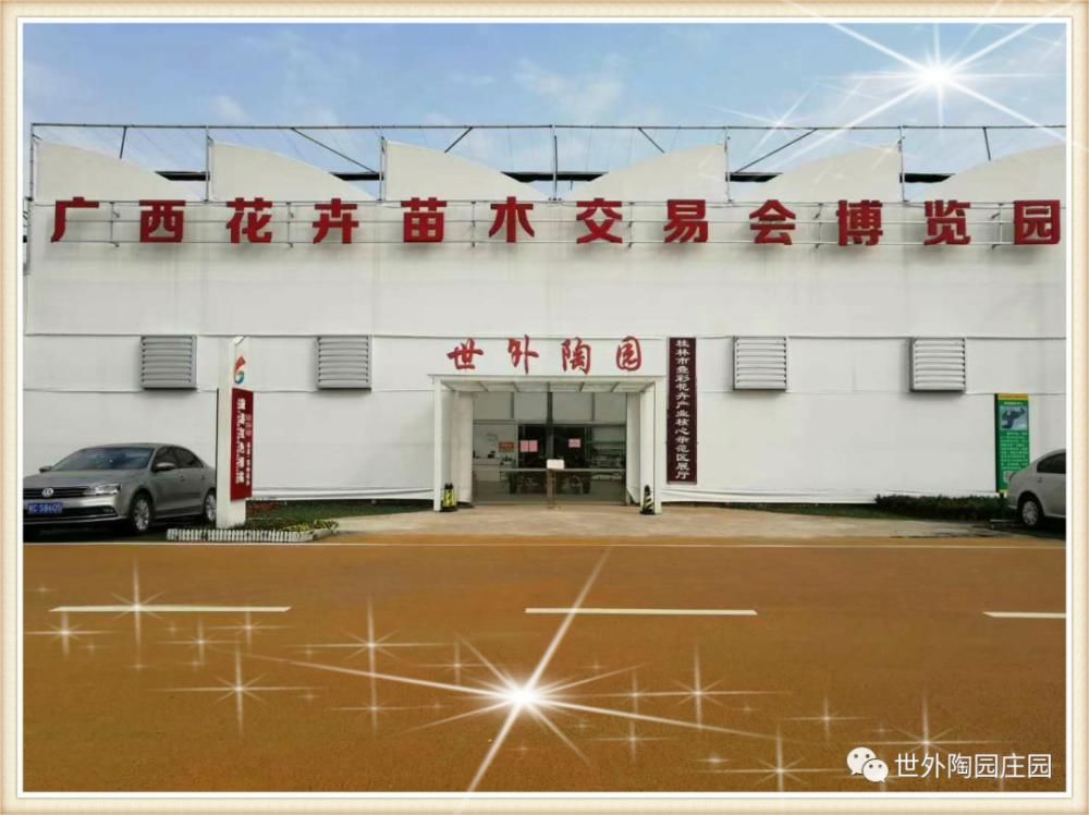 老年|新春沉醉花海,共游壮美叠彩!