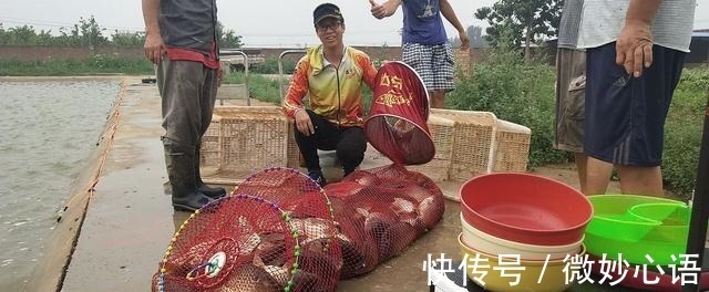 酒米|不怕小鱼的蚯蚓挂法，无倒刺鱼钩适用，秋冬野钓上鱼更多！