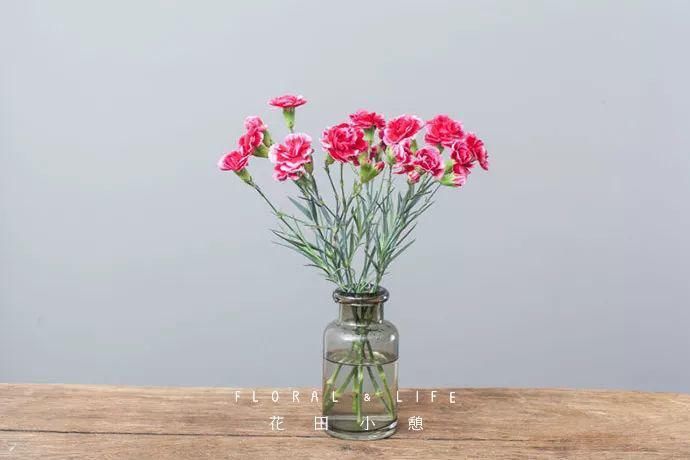 10款春节必备花材清单，去花店就买这些花！