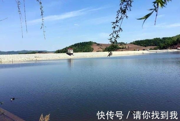 钓友|爆炸钩钓鲤鱼(技巧分享)