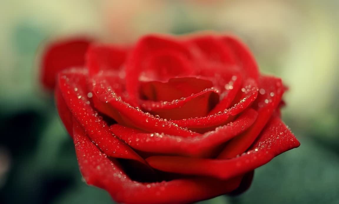 周国平&写给渐渐老去的中年人:余生最好的活法,不过只有三句话