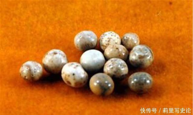 人会|佛教舍利子,为何只有得道高僧圆寂后才有一般人会有吗