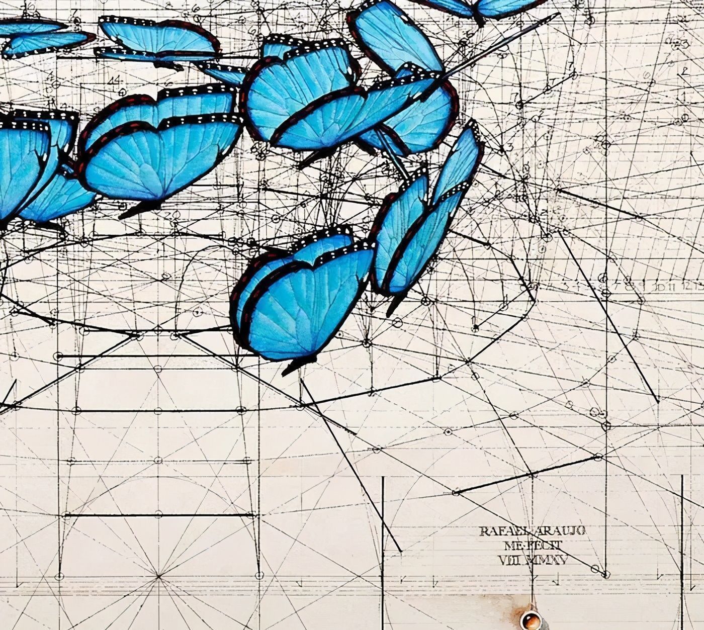 黄金比例!理工男花40年时间,用圆规画1000张画,黄金比例的拥护者