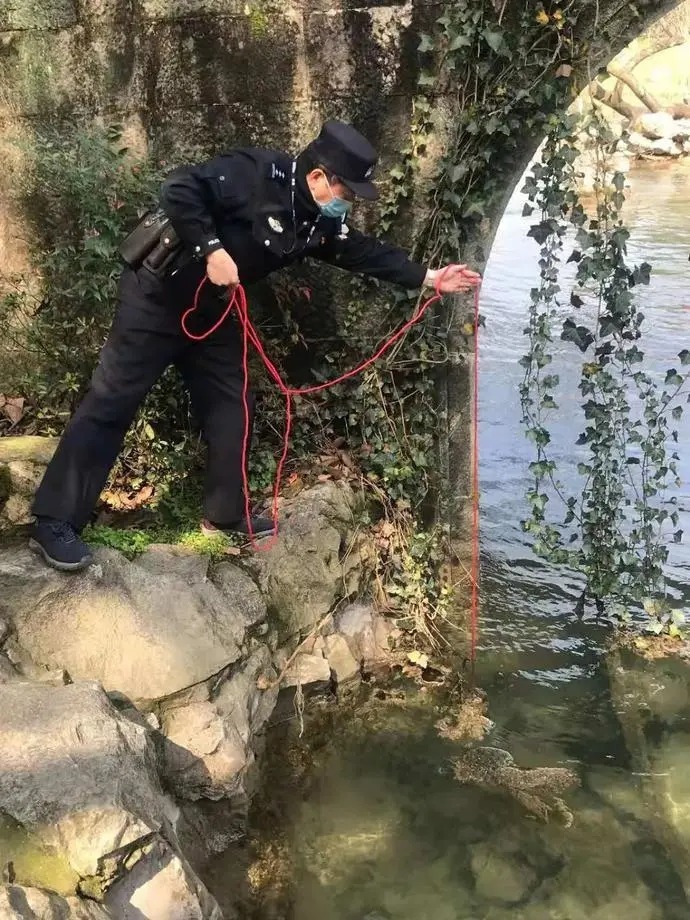 中年|人人人人！西湖断桥采取分流限流措施！接下来大升温，逼近20℃！