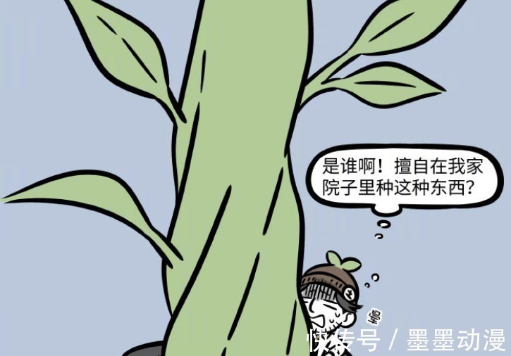 非人哉|非人哉:青龙做客观音家,土地公被带走,消防员救了他