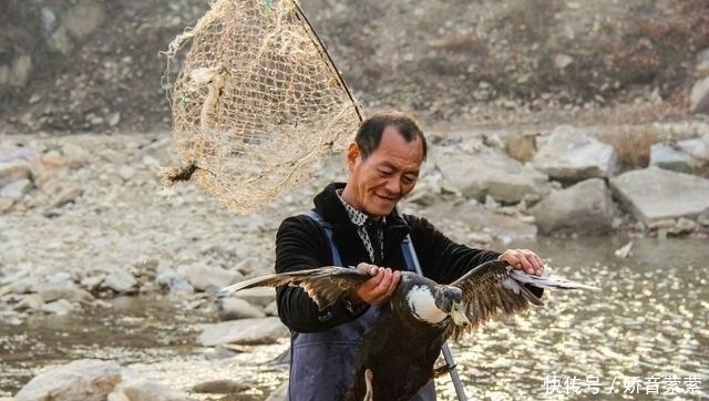 农民|五年前捡到140斤太岁,卖出300万的东北农民,现状如何了?