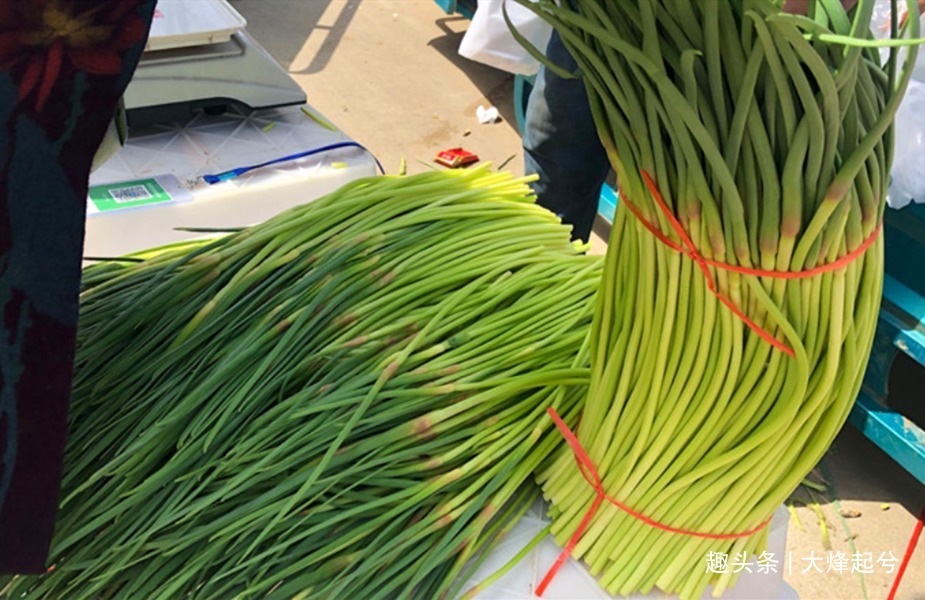 炒蒜苔时，有人过油有人过水，都不对，教你正确做法，鲜嫩又入味