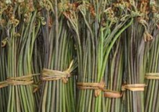 羊脑|此类食物不利于男性性功能,尽量少吃,那吃哪些食物对身体好呢