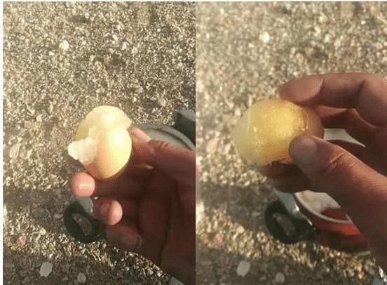 东北究竟有多冷芦荟胶成渣,泡面特效都没啥,看到乌龟笑趴了