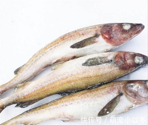 鱼汤|吃鱼有讲究,这些鱼已被列入“黑名单”,再好吃也不能给娃吃一口
