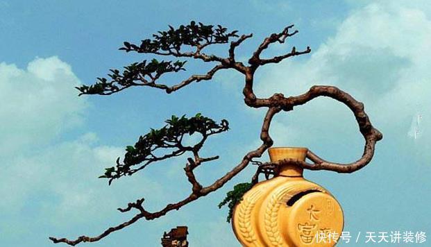 红砖、青瓦、烂木头，一定要拿来养花，一个比一个有韵味