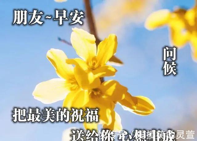 早安|早上好朋友,最棒早安问候祝福语动画表情动态图片,温馨早安问候语图片