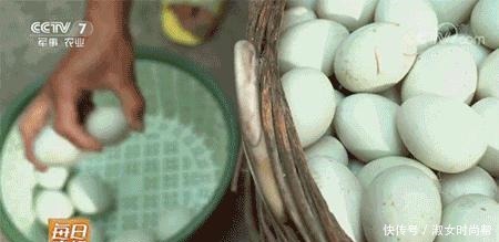  央视又“曝光”的海鸭蛋，为什么一戳就流“油”，你知道吗