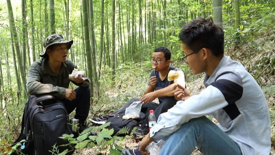 绿水青山就是金山银山|摸清绿水青山间的每一片叶