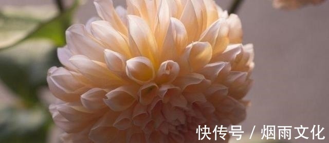 巨蟹座|近期，喜鹊落枝头，桃花蜂拥而至，魅力无限，捕获真爱的4大星座