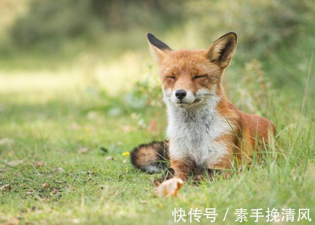 夜深人静#聊斋故事:预言