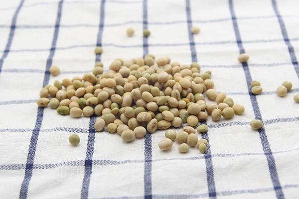 养骨冠军|“养骨冠军”被找到,50岁往后,舍得吃的人,不用受骨质疏松折磨