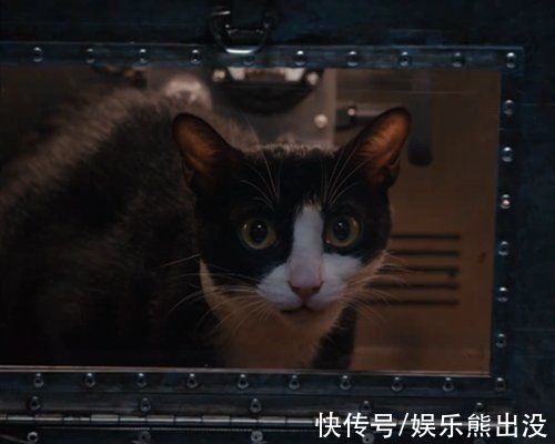 許魏洲|戀戀劇中人:許魏洲牽手喬欣，小鬼、吳宣儀有隔閡，差距有點(diǎn)大!