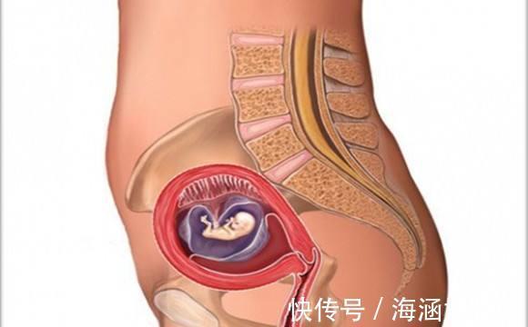 孕妇|胎儿畸形的危险到何时算安全孕期过了这些月份,孕妇可以放心了