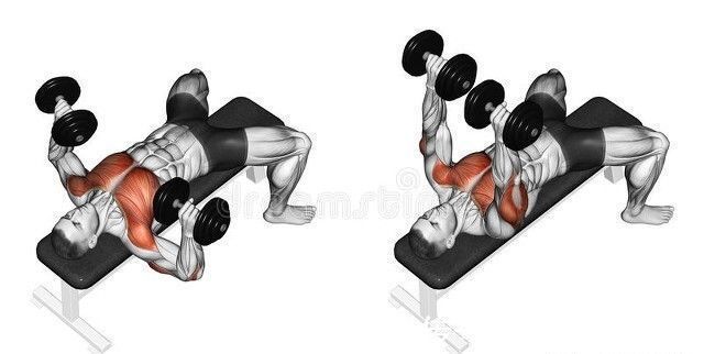 收缩感|哑铃卧推的4种训练方法,动作简单容易操作,更有效刺激整个胸肌