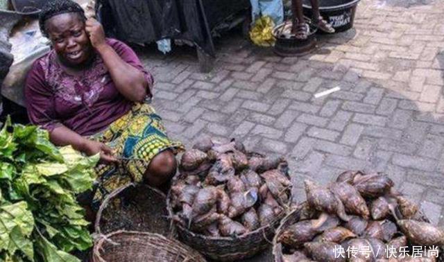 中国|中国人不敢碰,却被非洲人吃到快灭绝了,一年吃上百万斤