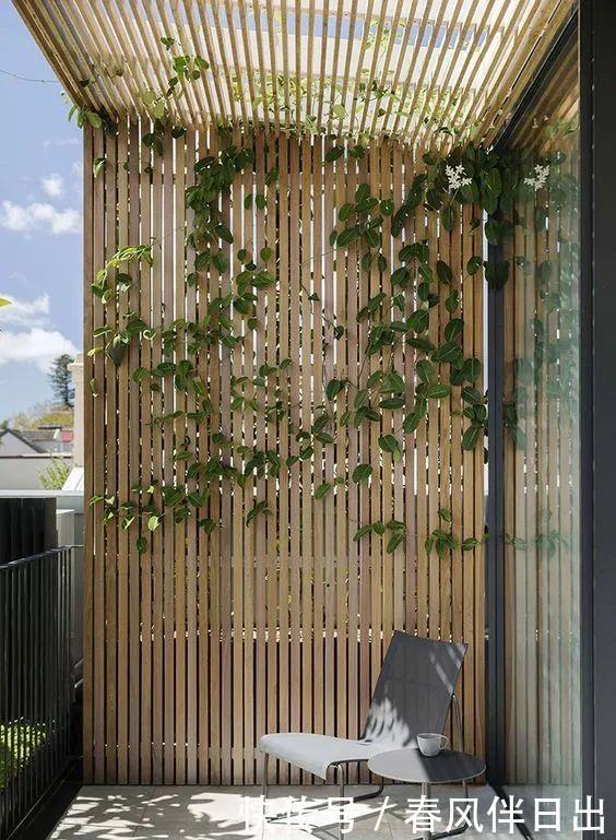 过上悠哉的小日子,不一定非要院子,有个阳台,一样可以养花种菜